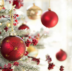 二階のフレン家のコース写真