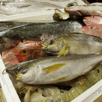 新鮮な魚介を思う存分お楽しみください！！