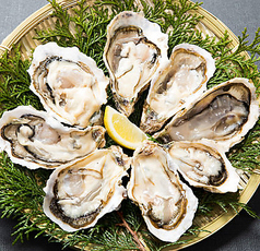 庵ぐら 福島駅前店のコース写真