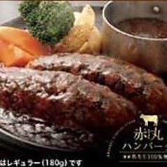 濃厚デミグラスソース赤丸ハンバーグ（レギュラー180g）