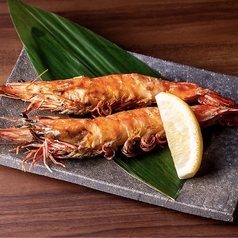 特大赤海老一本