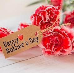 鉄板焼 さざんかのコース写真