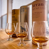 ワタリドリの詳細