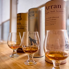 ワタリドリの写真