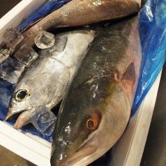 高知直送の鮮魚が旨い！漁師が届ける一押しの魚を堪能