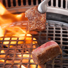 近江うし焼肉　にくTATSU青山本店の写真