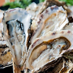 北海度　厚岸産　生牡蠣