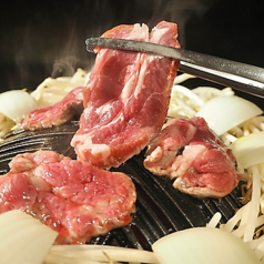 成吉思汗 カムイの特集写真