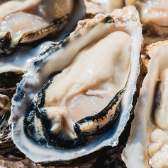 篠島DIEUX TERRACE デューテラスのコース写真