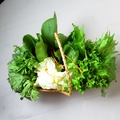 料理メニュー写真&nbsp;野菜バスケット（5-6種）