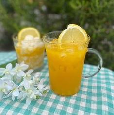 ファミリーガーデン 野芥店のコース写真