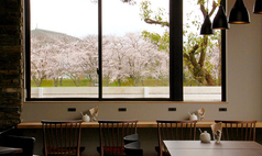 桜の咲く頃はカウンターからの景色が最高です。
