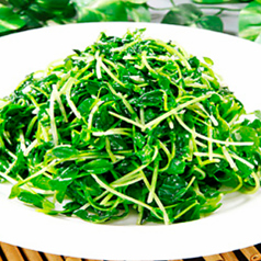 豆苗の炒め物