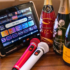 飲み放題とカラオケを楽しめるコースが魅力！