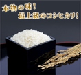 新潟南魚沼産特A米こしひかりを使用。美味しいお肉には美味しいお米を★