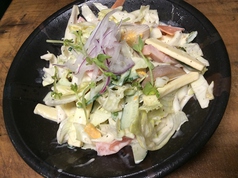 スペシャルサラダ(野菜・玉子・チーズ入)