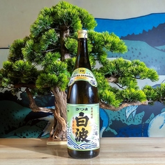 【芋】白波