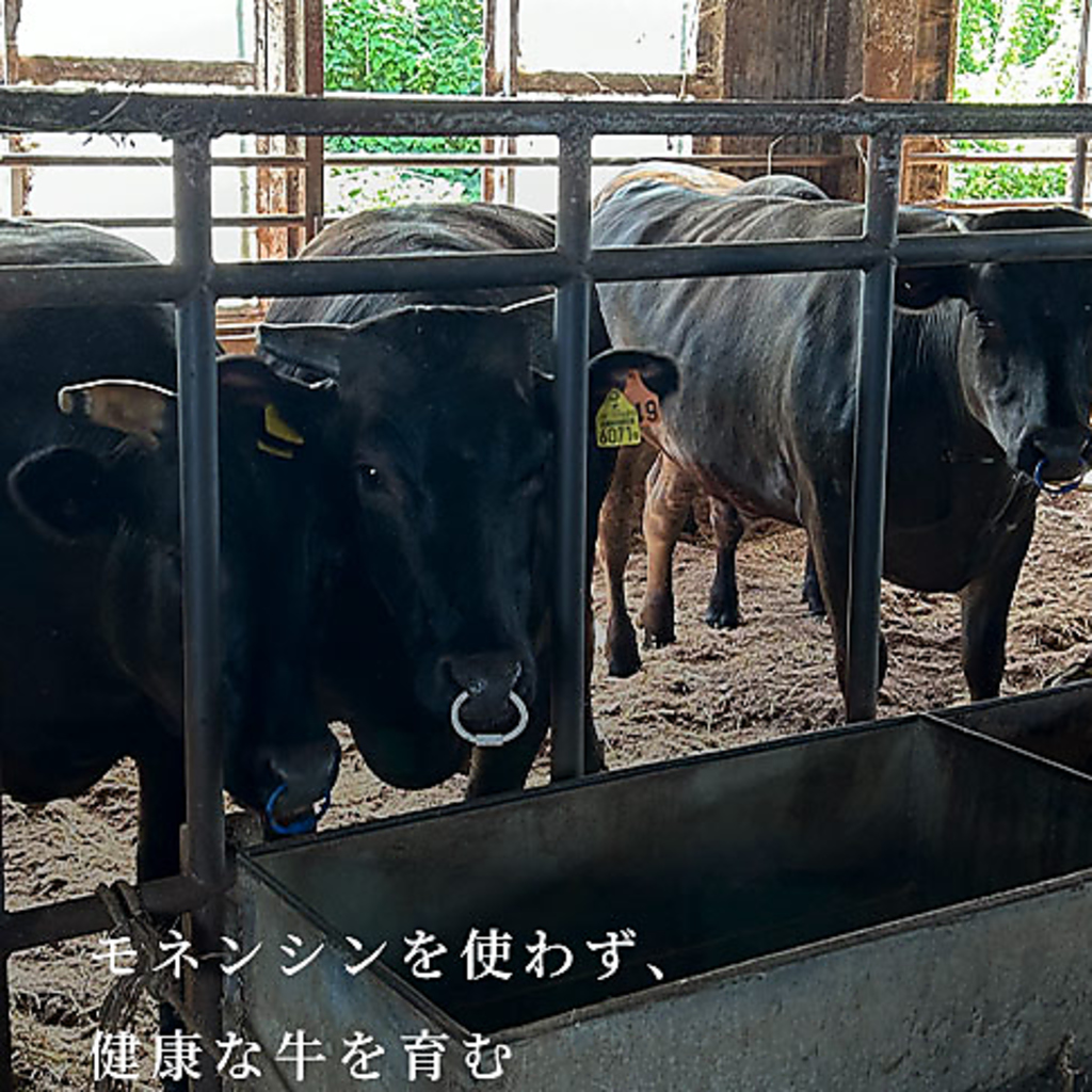 長崎県島原の自社牧場から直送される至極の牛肉