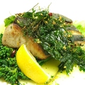 料理メニュー写真 鮮魚の鉄板焼き　香草オイルソース