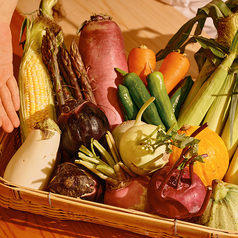 板長目利きのカラフル野菜の写真