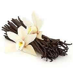 vanilla