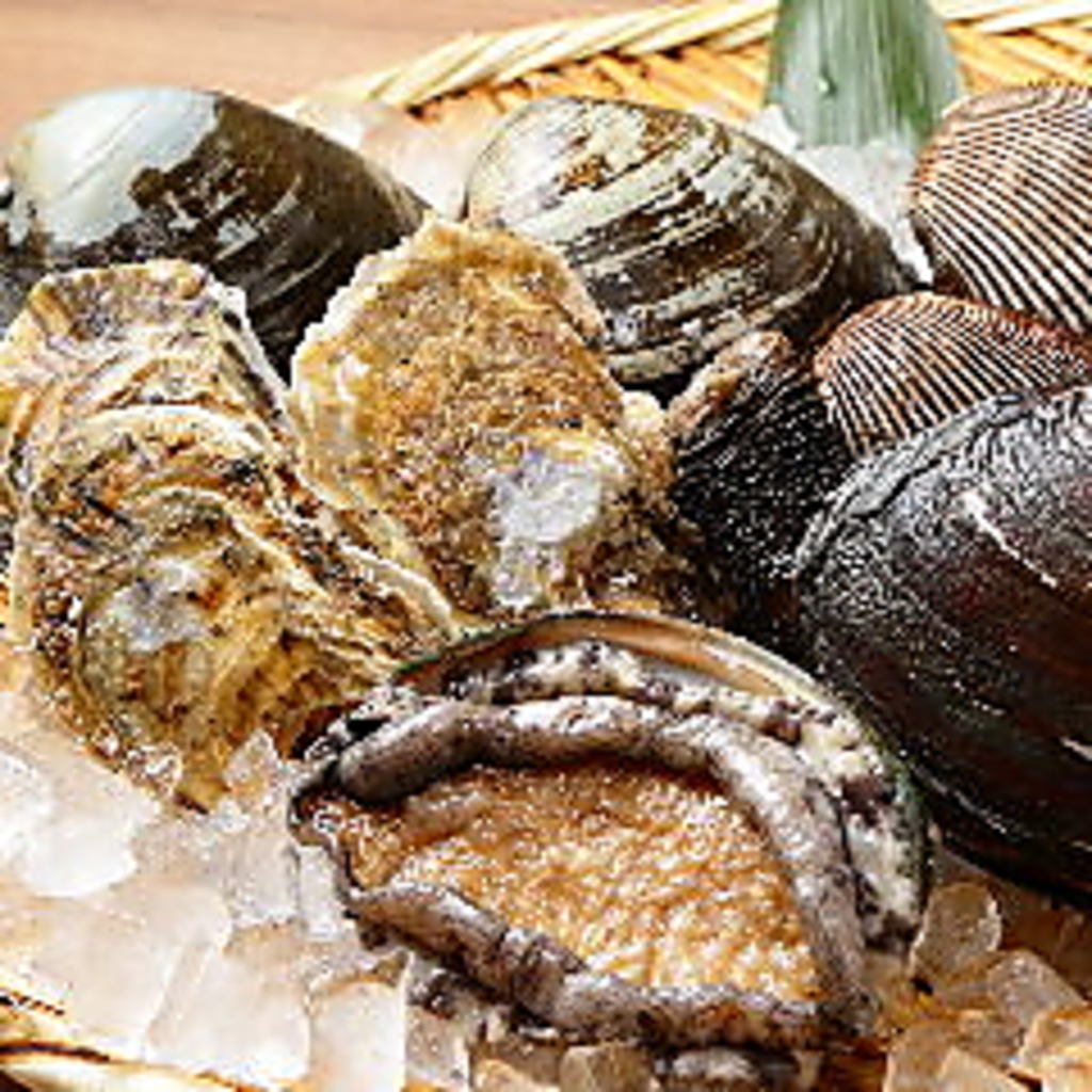 鮑、ツブ貝、ほっき貝など、貝好きにはたまりません。