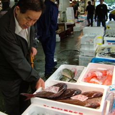 浅草　魚料理　遠州屋の写真2