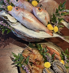 海鮮鮮魚