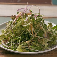 ◎彩り野菜のグリーンサラダ