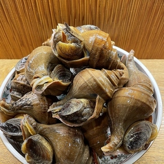 活真つぶ貝