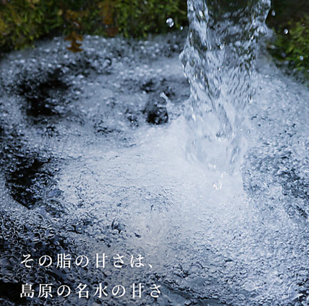 脂の甘さは、島原の名水の甘さ