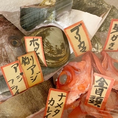 選び抜かれた鮮魚の料理で、至福のひとときをご提供。