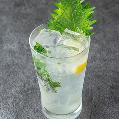 若葉亭 名古屋駅前店特集写真1