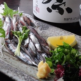 瀬戸内海鮮居酒屋 こうせいのおすすめ料理3