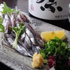 期間限定の名物！脂ののった小イワシの写真