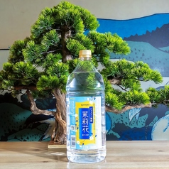 【ジャスミン焼酎】茉莉花