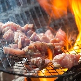 ◆オススメ地鶏焼き鳥◇名物地鶏×海鮮のコース3H飲み放題付￥3500～大山地鶏と産地直送の朝〆の海鮮になります◎ 情緒溢れる和モダン個室居酒屋で宴会や接待・プライベートなど様々なシーンでご利用くださいませ！！ 宴会プラン3時間飲み放題付き3500円から！！