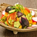 料理メニュー写真&nbsp;瀬戸内旬野菜サラダ