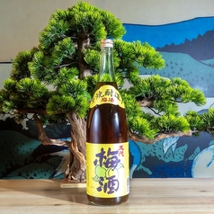 五代梅酒
