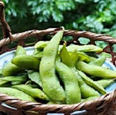枝豆