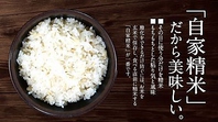 安心安全なお米「お米が美味しい」