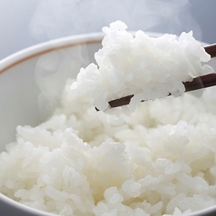 白ごはん