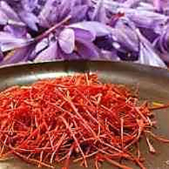 Saffron