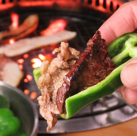 焼肉ロッヂ 新潟駅前店 新潟駅前 焼肉 ホルモン ネット予約可 ホットペッパーグルメ
