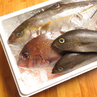 女将の仕入れた食材で多彩なメニューをお楽しみ下さい