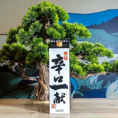 [京都]辛口一献