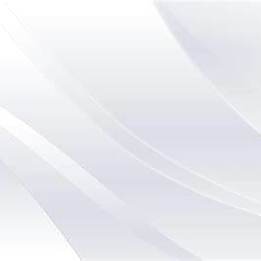 八尾ピザマニアの雰囲気1