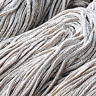 製粉から「かえし」まで地元原産にこだわる出雲そば！