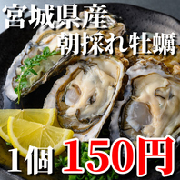 産地直送/生で食べれる超新鮮/宮城県産/朝採れ牡蠣150円