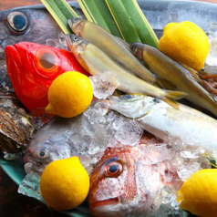 うまいもん とれとれ市場 神戸駅前のコース写真